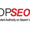 SEO Company in Delhi