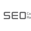 SEO Company in Delhi